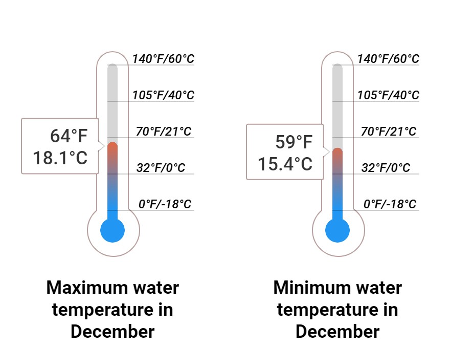 Average Sea temperature